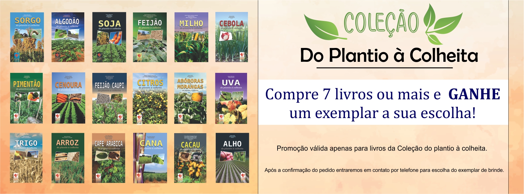 Cole��o do plantio a colheita